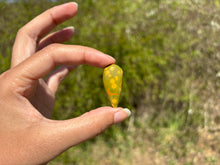 Charger l'image dans la galerie, Jaspe Océan 18