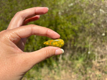 Charger l'image dans la galerie, Jaspe Océan 18