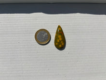 Charger l'image dans la galerie, Jaspe Océan 18