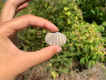 Charger l'image dans la galerie, Silex 2