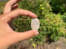 Charger l'image dans la galerie, Silex 2