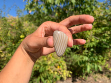 Charger l'image dans la galerie, Silex 3