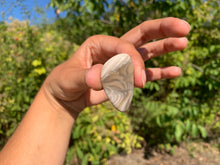 Charger l'image dans la galerie, Silex 4