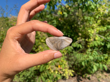 Charger l'image dans la galerie, Silex 4