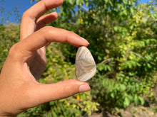 Charger l'image dans la galerie, Silex 4