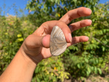 Charger l'image dans la galerie, Silex 4