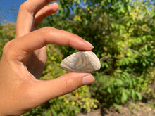 Charger l'image dans la galerie, Silex 4