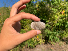 Charger l'image dans la galerie, Silex 6