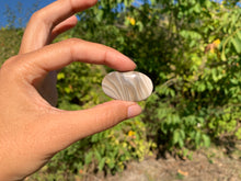 Charger l'image dans la galerie, Silex 6
