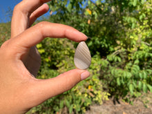 Charger l'image dans la galerie, Silex 8