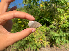 Charger l'image dans la galerie, Silex 8