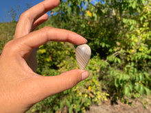 Charger l'image dans la galerie, Silex 8