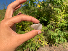 Charger l'image dans la galerie, Silex 8