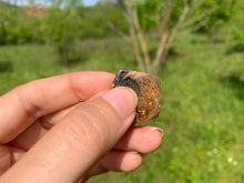 Charger l'image dans la galerie, Ammonite de Madagascar 8