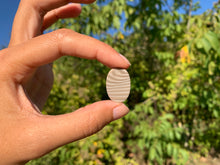 Charger l'image dans la galerie, Silex 12