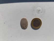 Charger l'image dans la galerie, Silex 12