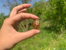 Charger l'image dans la galerie, Ammonite de Madagascar 9