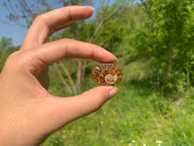 Charger l'image dans la galerie, Ammonite de Madagascar 9