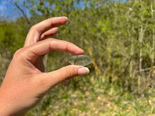 Charger l'image dans la galerie, Quartz à Actinolite 3