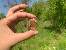 Charger l'image dans la galerie, Ammonite de Madagascar 14