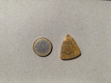 Charger l'image dans la galerie, Ammonite de Madagascar 19