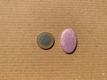 Charger l'image dans la galerie, Phosphosidérite 43