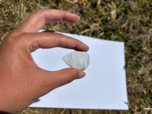 Charger l'image dans la galerie, Quartz à Actinolite 6