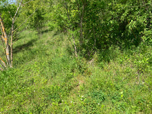 Charger l'image dans la galerie, VENDU Pierre de soleil 28