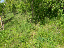 Charger l'image dans la galerie, VENDU Pierre de soleil 28