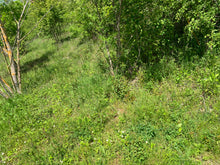 Charger l'image dans la galerie, VENDU Pierre de soleil 28