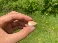 Charger l'image dans la galerie, Pierre de soleil 34