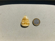 Charger l'image dans la galerie, Calcite jaune 8