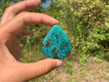 Charger l'image dans la galerie, Chrysocolle 1