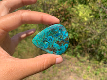 Charger l'image dans la galerie, Chrysocolle 1