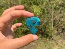 Charger l'image dans la galerie, Chrysocolle 2