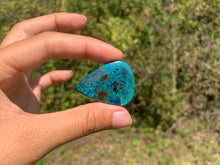 Charger l'image dans la galerie, Chrysocolle 2