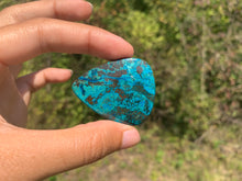 Charger l'image dans la galerie, Chrysocolle 5
