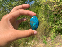 Charger l'image dans la galerie, Chrysocolle 6