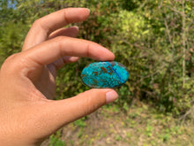 Charger l'image dans la galerie, Chrysocolle 8