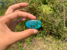 Charger l'image dans la galerie, Chrysocolle 8