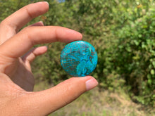 Charger l'image dans la galerie, Chrysocolle 11