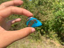 Charger l'image dans la galerie, Chrysocolle 13