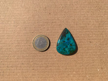 Charger l'image dans la galerie, Chrysocolle 14