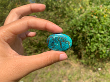 Charger l'image dans la galerie, Chrysocolle 19