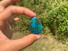 Charger l'image dans la galerie, Chrysocolle 20