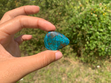 Charger l'image dans la galerie, Chrysocolle 20