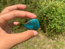Charger l'image dans la galerie, Chrysocolle 20