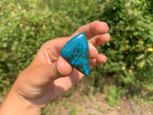 Charger l'image dans la galerie, Chrysocolle 21