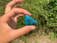 Charger l'image dans la galerie, Chrysocolle 21