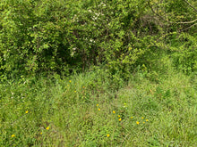 Charger l'image dans la galerie, VENDU Pierre de soleil 46